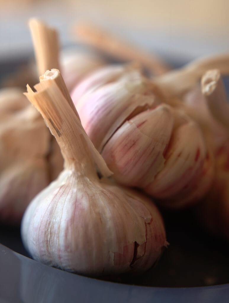 Healthy Facts about Garlic
