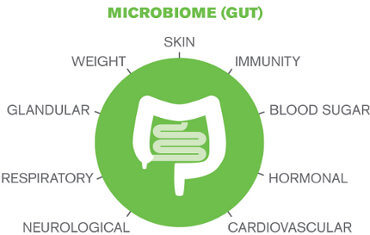 Gut Microbiome