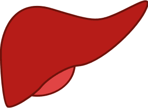 liver heatlh