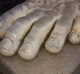 fungal infections