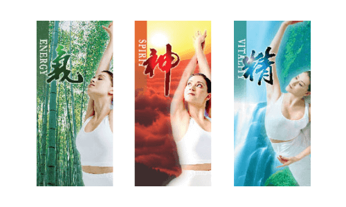 SOQI Energy Vitality and Spirit