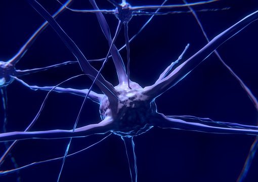 healing the brain