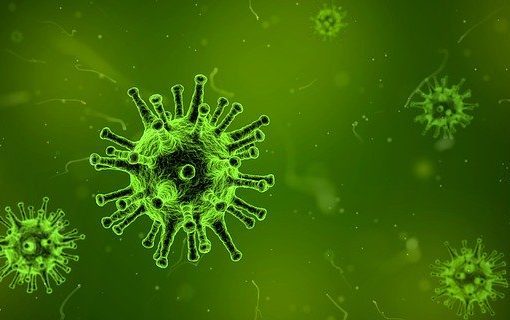 natural virus remedies