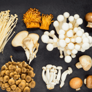 mushrooms immune system support