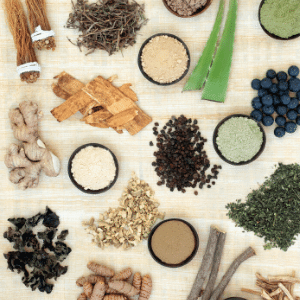 adaptogens stress and fatigue