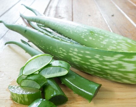 aloe vera