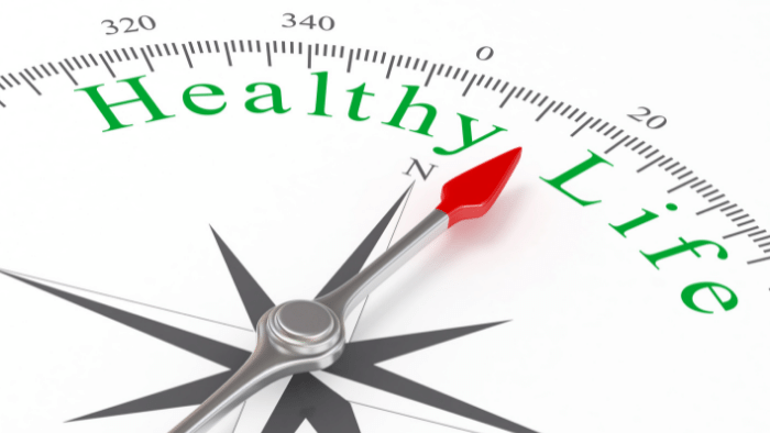 Healthy Living Blog with Image of a Healthy Life Compass