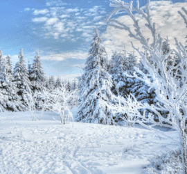 winter health tips