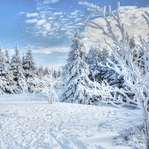 winter health tips