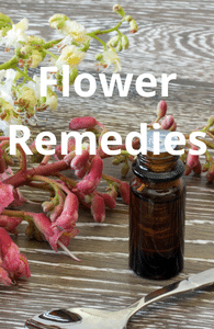 Bach Flower Remedies