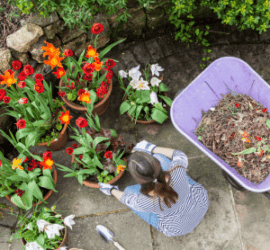 Detox and Cleanse for Spring Cleaning - Enjoy the pictures of the flowers and planting.