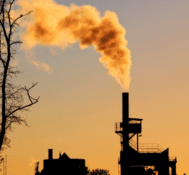 environmental toxicity